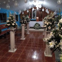 Floreria - Los Girasoles