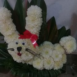 Floreria "los Girasoles"
