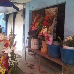 Floreria Los Girasoles