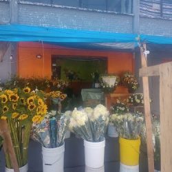 Floreria Los Girasoles