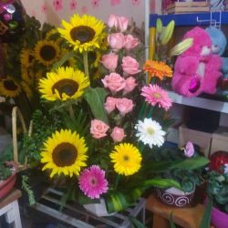 Florería Los Girasoles
