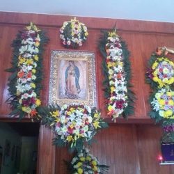 "floreria Los Girasoles"