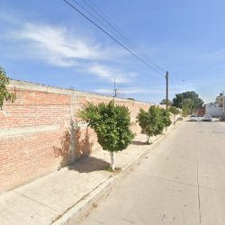 Florería Los Girasoles