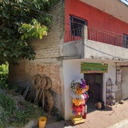 Floreria Los Girasoles