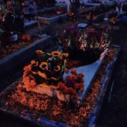 Florería Los Girasoles
