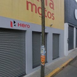 Floreria Los Girasoles