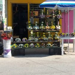 Floreria Los Girasoles ""eliza""