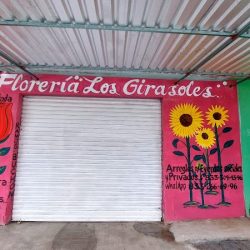Floreria Los Girasoles Sucursal Anáhuac