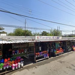 Floreria Los Lirios