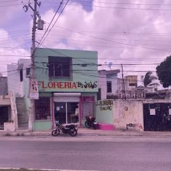 Floreria Los Olivos