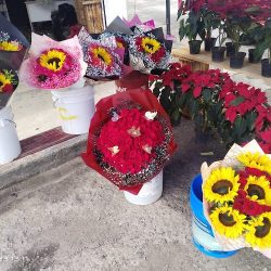 Floreria Los Ositos