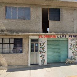 Floreria Los Perez
