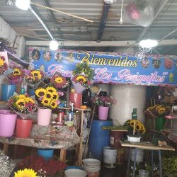 FlorerÍa Los Periquitos