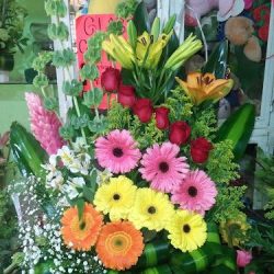 Florería Los Petalitos 2 Las Varas