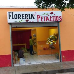 Floreria Los Petalitos