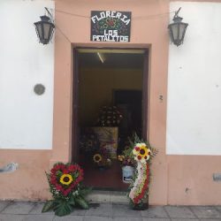 Floreria "los Pétalitos" Jala