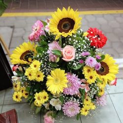 Florería Los Petalitos Zacualpan