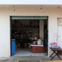 Florería "los Remedios"