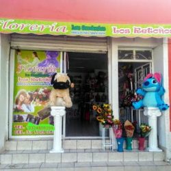 Florería Los Retoños