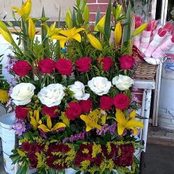 Florería Los Retoños #3