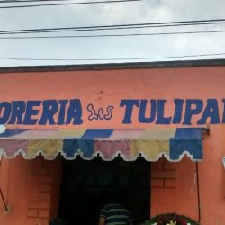 Floreria Los Tulipanes