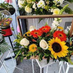 Floreria Los Tulipanes