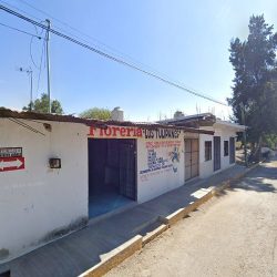 Floreria Los Tulipanes