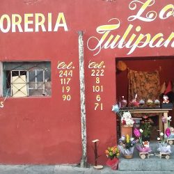 Floreria Los Tulipanes