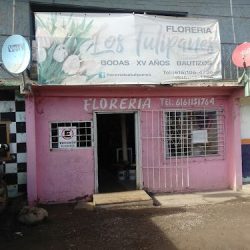 Floreria Los Tulipanes