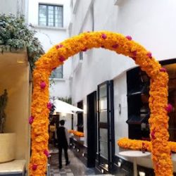 Florería Los Tulipanes