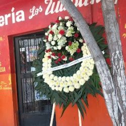 Floreria "los Tulipanes"