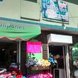 Floreria Los Tulipanes
