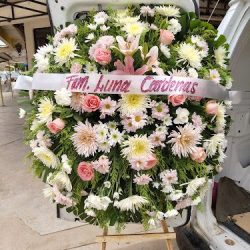 Florería Los Tulipanes