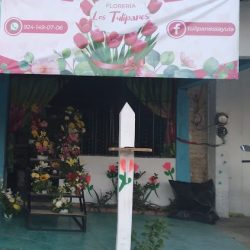 Floreria "los Tulipanes"