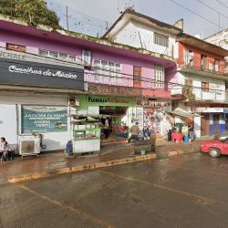 Floreria Los Tullpanes