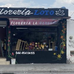 Floreria Loto