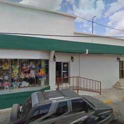 Florería Lozano