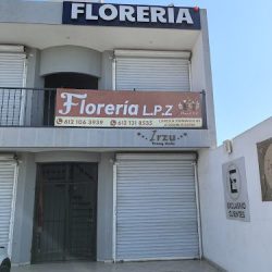 Floreria Lpz