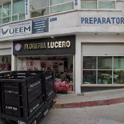 Floreria Lucero