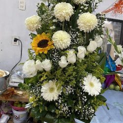 Floreria Lucero