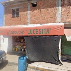 Floreria Lucesita