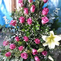 Florería Lucita