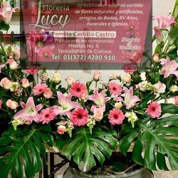 Floreria Lucy