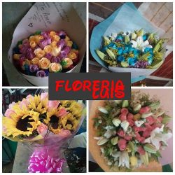 Floreria Luis