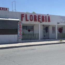 Floreria Luis Rivera