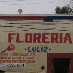 Florería Lulis