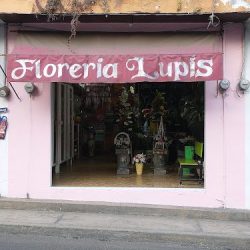 Floreria "lupis"