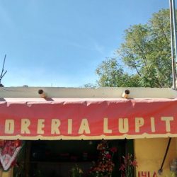 Floreria Lupita