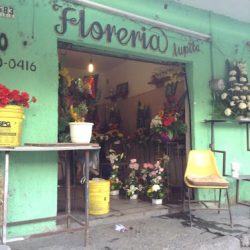 Florería Lupita