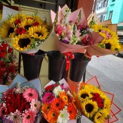 Florería Lupita